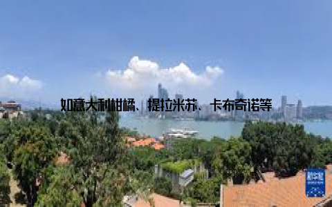 如意大利柑橘、提拉米苏、卡布奇诺等