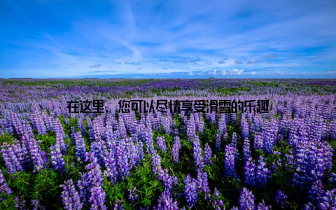 在这里, 您可以尽情享受滑雪的乐趣