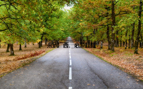 来到广西, 必游桂林