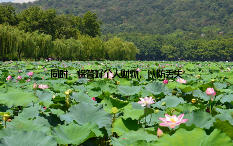 同时, 保管好个人财物, 以防丢失