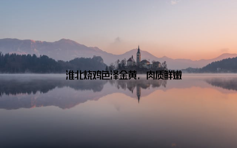 – 淮北烧鸡色泽金黄, 肉质鲜嫩