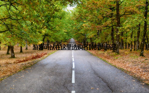 游客可以在这里选购各种时尚商品