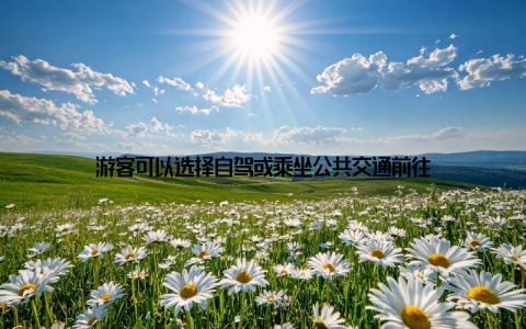 游客可以选择自驾或乘坐公共交通前往