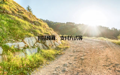 包括预算、支付方式等