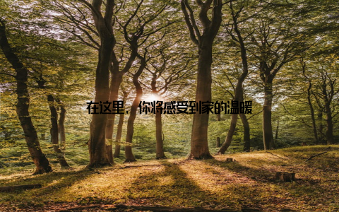 在这里, 你将感受到家的温暖