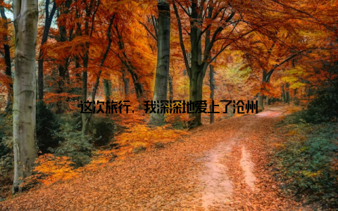 这次旅行, 我深深地爱上了沧州