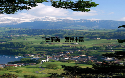 口感鲜美, 营养丰富