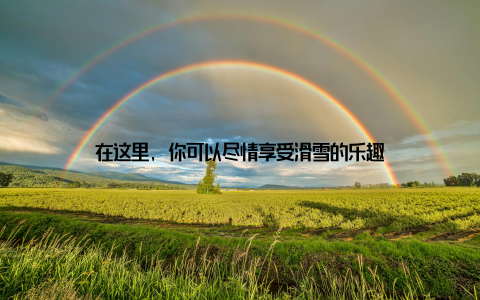 在这里, 你可以尽情享受滑雪的乐趣