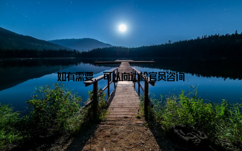 如有需要, 可以向边检官员咨询