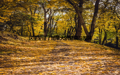 这里见证了加拿大的繁荣与发展