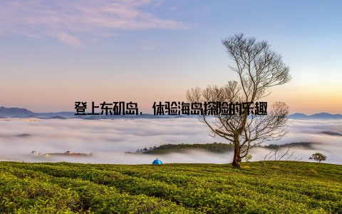 登上东矶岛, 体验海岛探险的乐趣