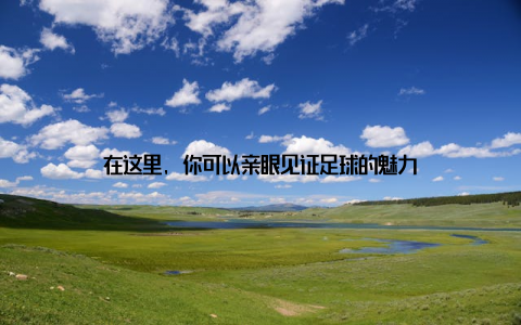 在这里, 你可以亲眼见证足球的魅力