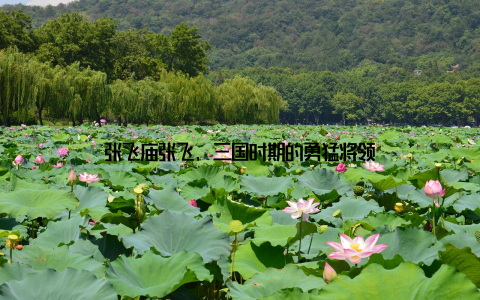 张飞庙张飞, 三国时期的勇猛将领