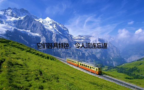 它们各具特色, 令人流连忘返