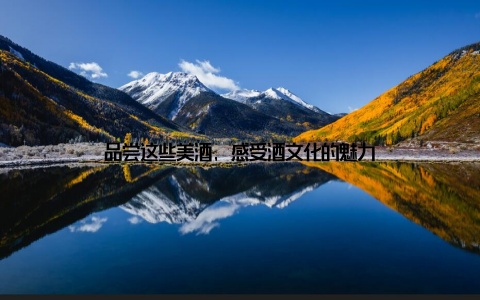 品尝这些美酒, 感受酒文化的魅力