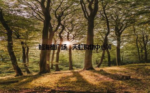 如海德广场、天虹购物中心等