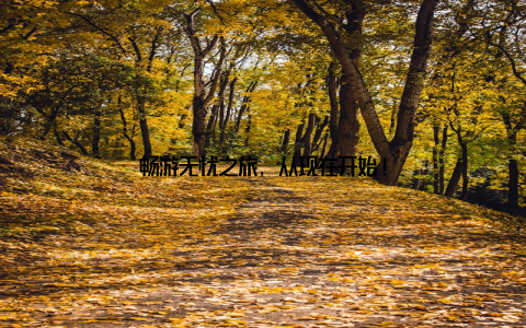 畅游无忧之旅, 从现在开始!