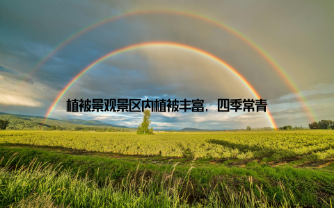 植被景观景区内植被丰富, 四季常青