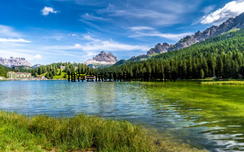 推荐尝试红烧鱼、清蒸虾等