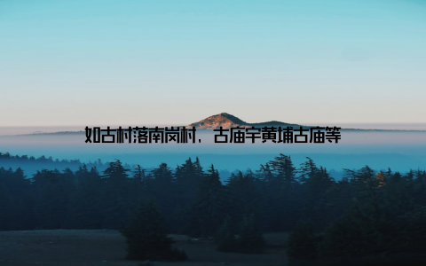 如古村落南岗村, 古庙宇黄埔古庙等