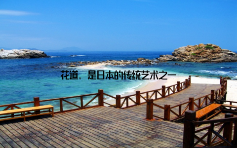 花道, 是日本的传统艺术之一