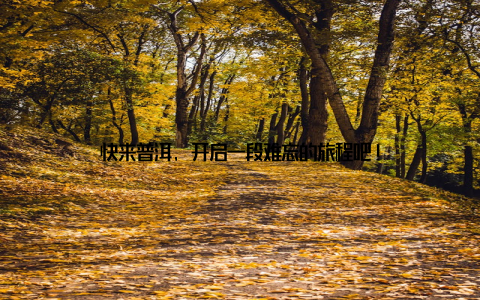 快来普洱, 开启一段难忘的旅程吧!