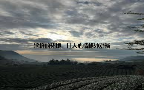 这样的环境, 让人心情格外舒畅