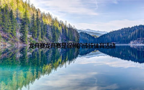 龙舟赛龙舟赛是徐州的传统体育活动