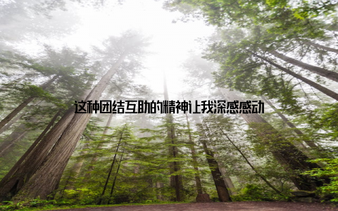 这种团结互助的精神让我深感感动