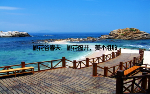 桃花谷春天, 桃花盛开, 美不胜收