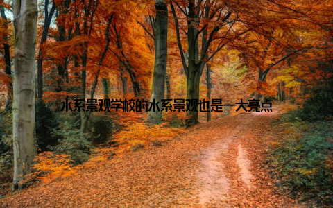 水系景观学校的水系景观也是一大亮点