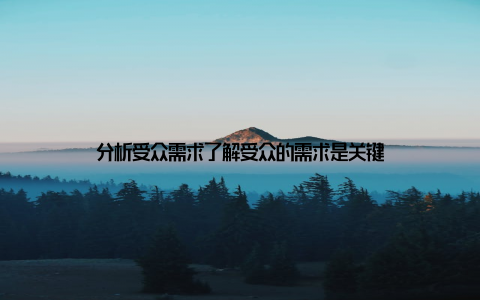 分析受众需求了解受众的需求是关键