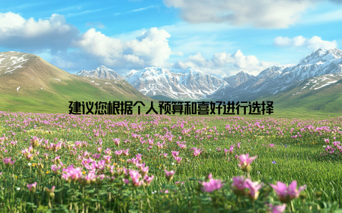 建议您根据个人预算和喜好进行选择