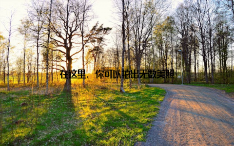 在这里, 你可以拍出无数美照