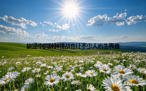 旅途中的种种挑战也让不少人心生畏难