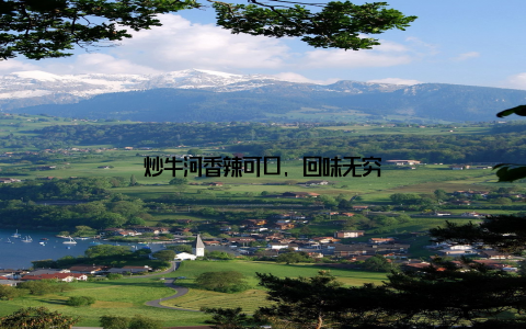 炒牛河香辣可口, 回味无穷