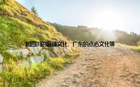 如四川的麻辣文化、广东的点心文化等