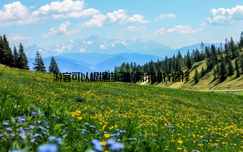 游客可以根据自己的需求进行选择