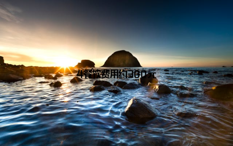 4餐饮费用约300元