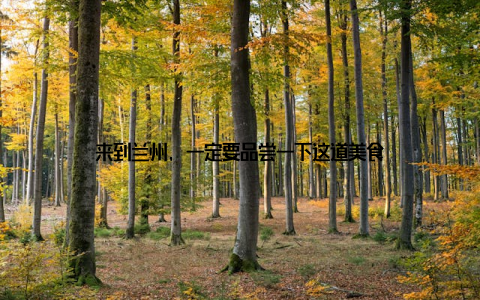 来到兰州, 一定要品尝一下这道美食