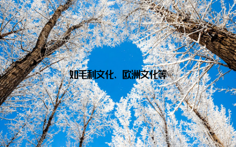 如毛利文化、欧洲文化等