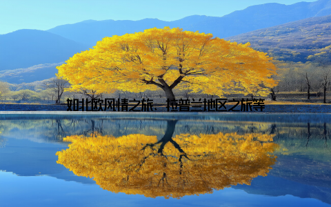 如北欧风情之旅、拉普兰地区之旅等