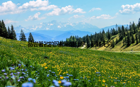 品尝著名的玛格丽特比萨, 回味无穷