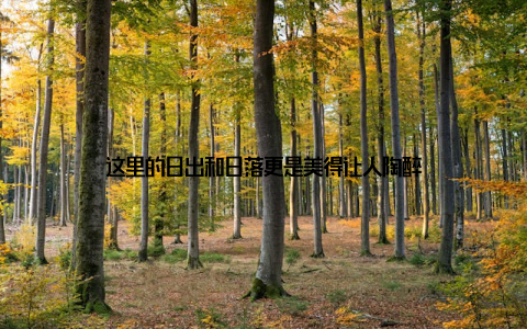 这里的日出和日落更是美得让人陶醉