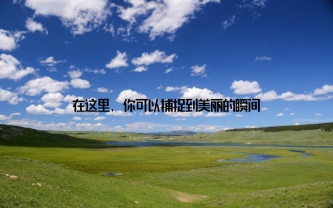 在这里, 你可以捕捉到美丽的瞬间