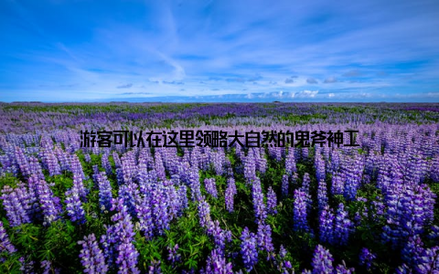 游客可以在这里领略大自然的鬼斧神工