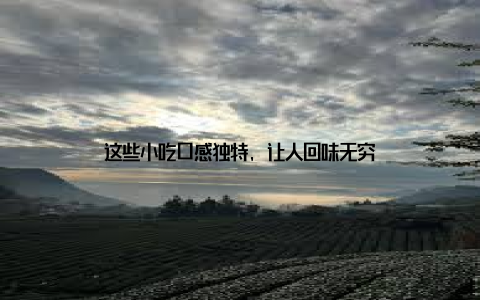 这些小吃口感独特, 让人回味无穷