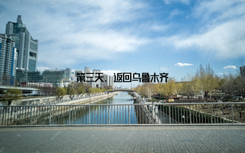 第三天, 返回乌鲁木齐