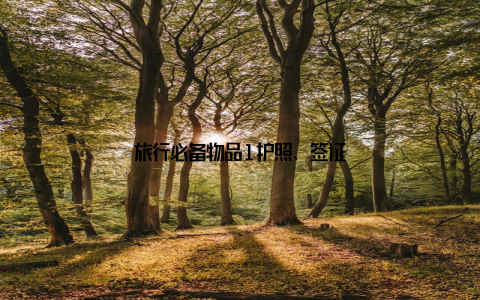 旅行必备物品1护照、签证