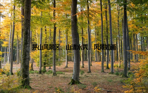 茅山风景区, 山清水秀, 风景如画